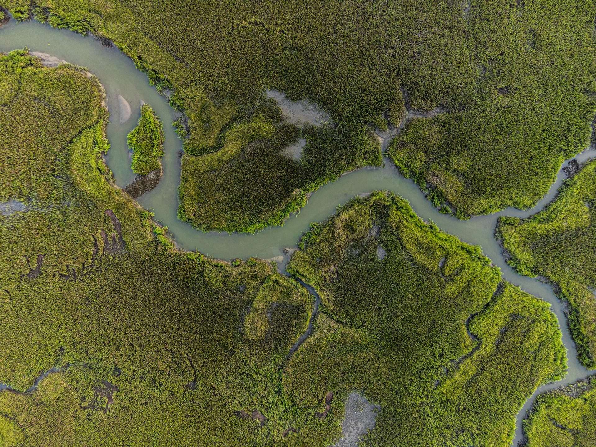 Global Rivers Are Losing Oxygen as the Climate Warms