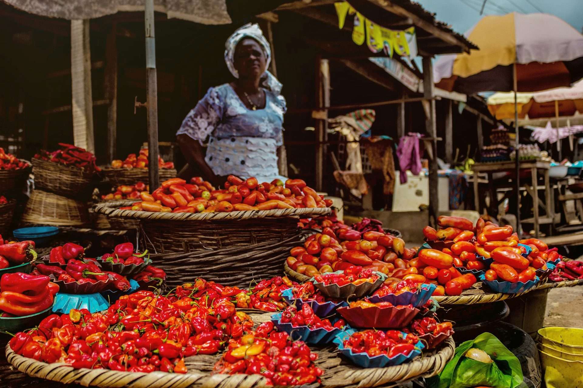 By 2030, Most Families in Ethiopia, Malawi, and Nigeria Won’t Be Able to Afford a Healthy Meal