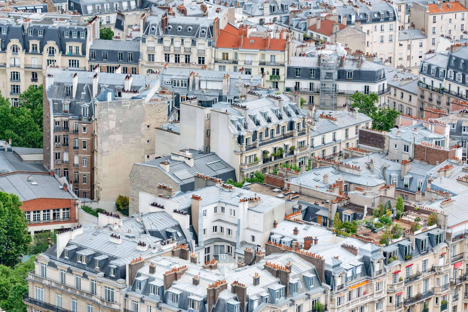 Rooftop Revolution in France: Why Big Buildings Are Going Green