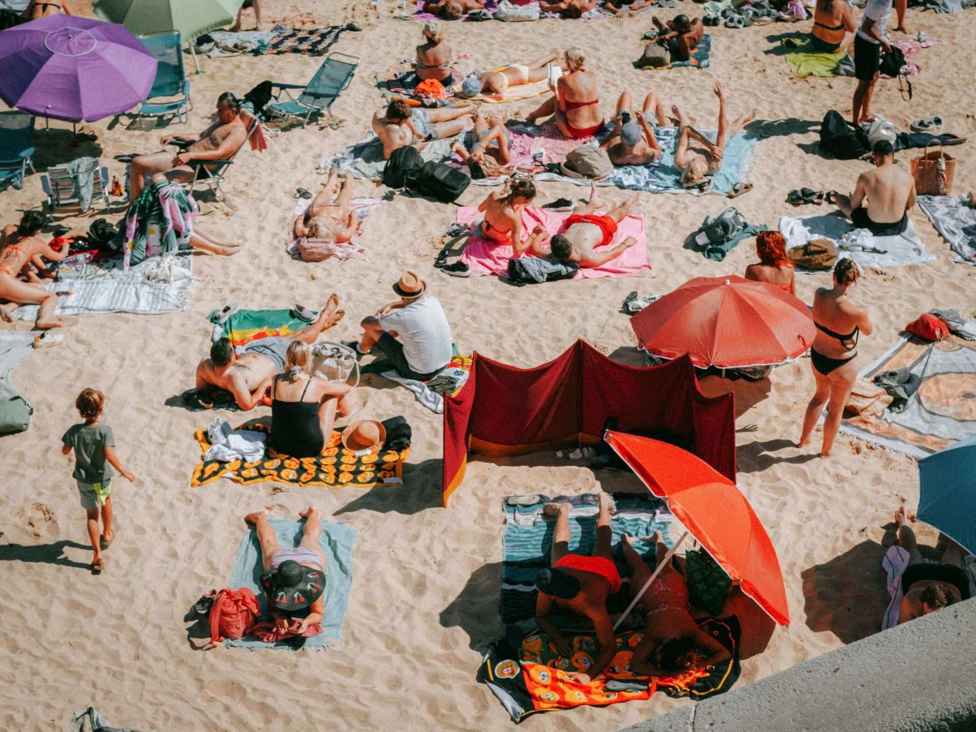 Half of Europe Experienced Very Strong Heat Stress During Summer 2026Â